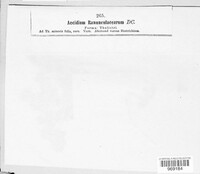 Image Associated With the Occurence